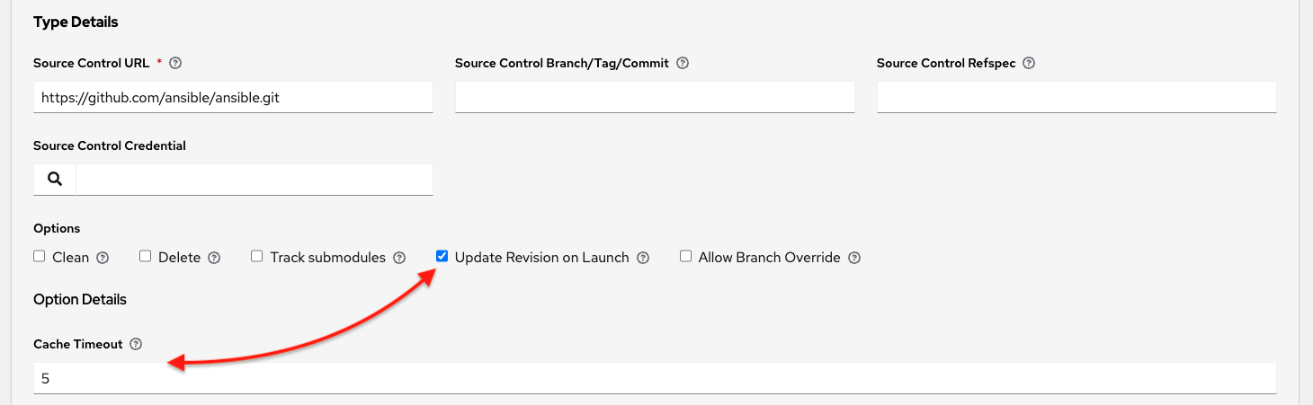 Checked Update Revision on Launch option with Cache Timeout value specified from the Create new project page